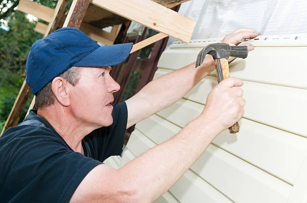 Shed Removal in Rockwood, MI